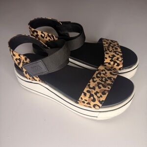 MIA Black and Tan Leopard Women's Sandals